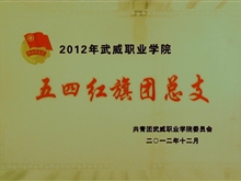 2012年武威職業(yè)學(xué)院五四紅旗團(tuán)總支獎